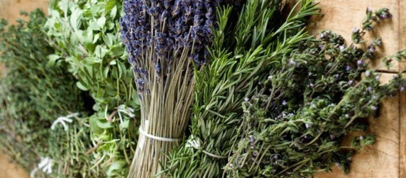 Τα γνωρίζατε; – Τα ελληνικά φαρμακευτικά και αρωματικά φυτά που κάνουν πάταγο!